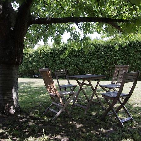 Casa Linum. U Centra Zlina S Atmosferou Venkova. Daire Dış mekan fotoğraf