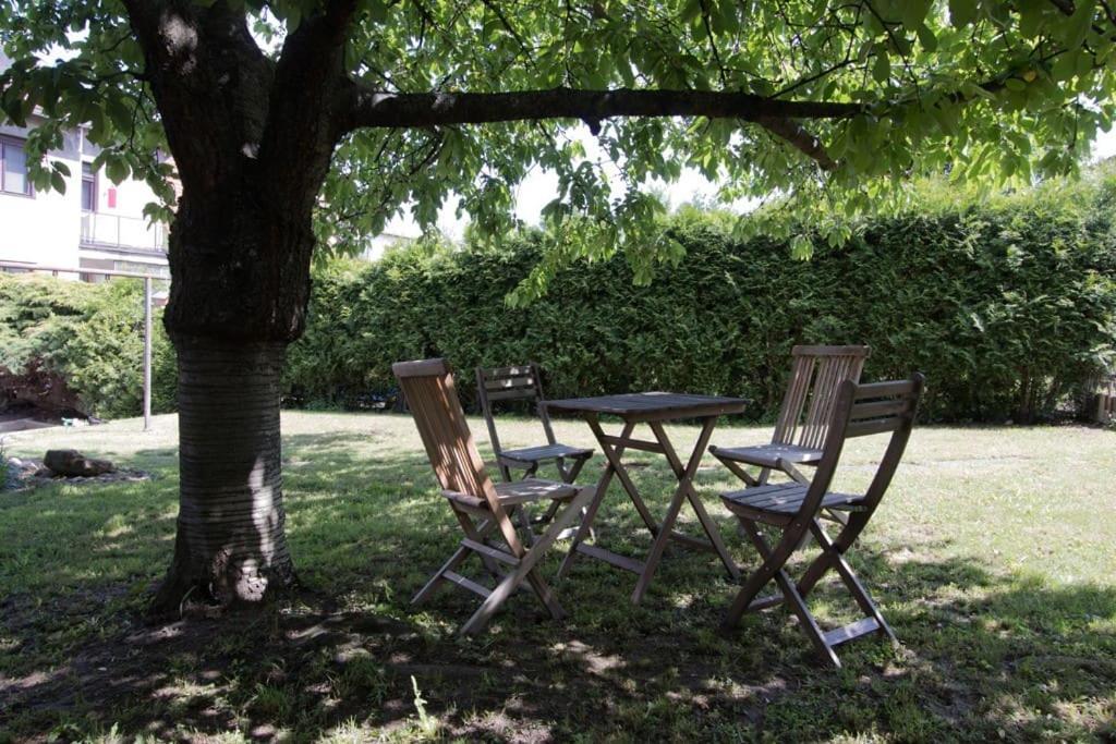 Casa Linum. U Centra Zlina S Atmosferou Venkova. Daire Dış mekan fotoğraf